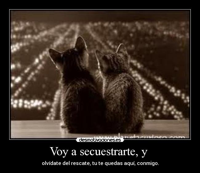 Voy a secuestrarte, y -