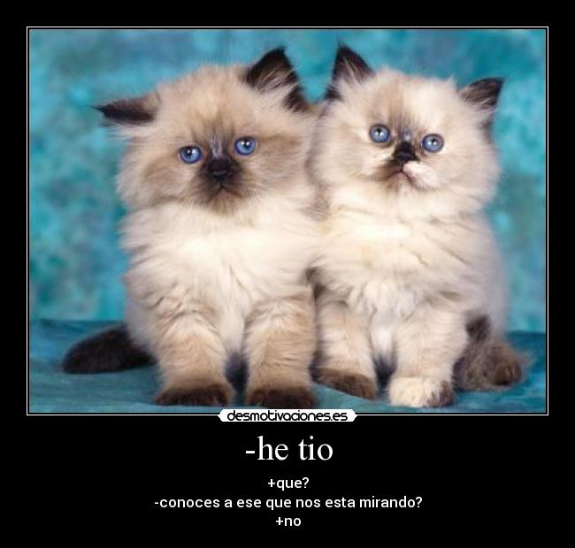 -he tio - +que?
-conoces a ese que nos esta mirando?
+no
