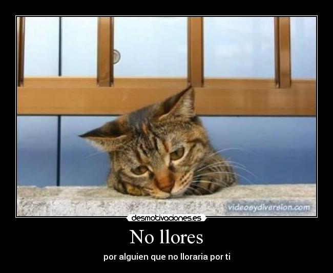 No llores -