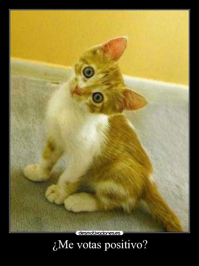 ¿Me votas positivo? -