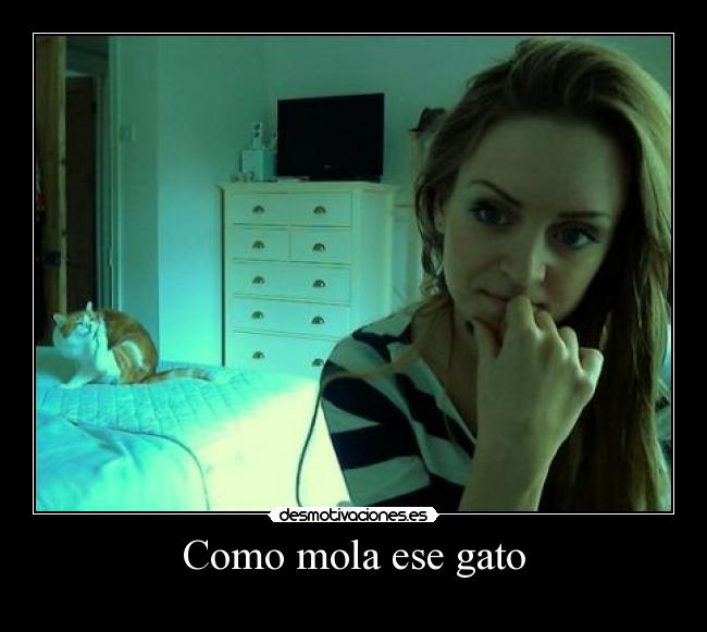 Como mola ese gato -