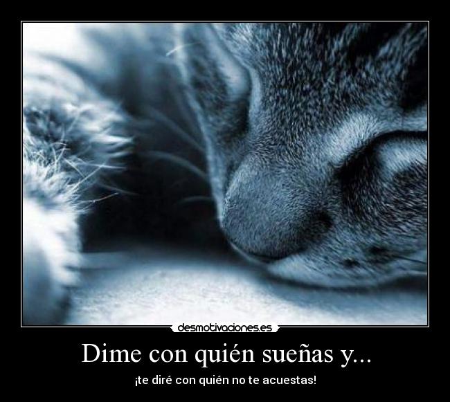 Dime con quién sueñas y... - 