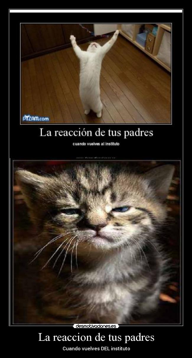 La reaccion de tus padres - Cuando vuelves DEL instituto