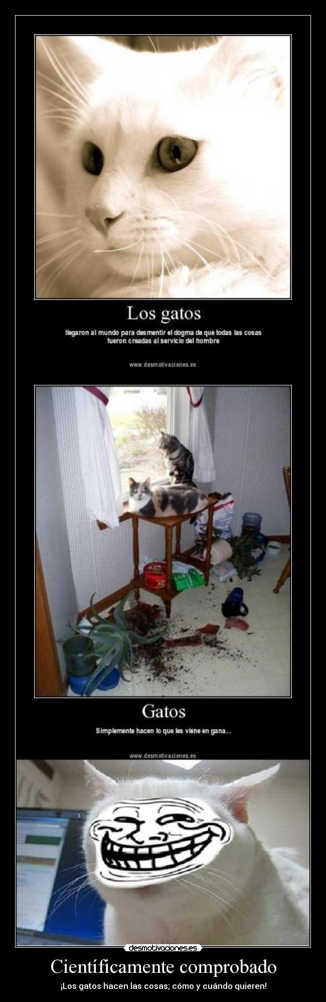 Científicamente comprobado - 