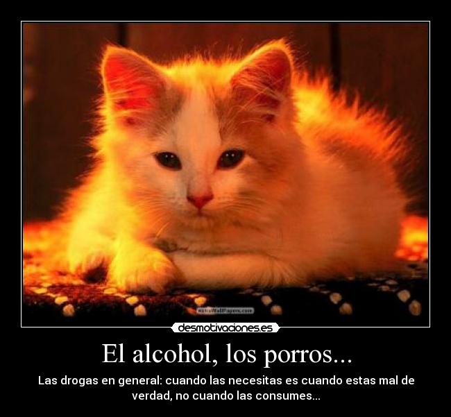El alcohol, los porros... -
