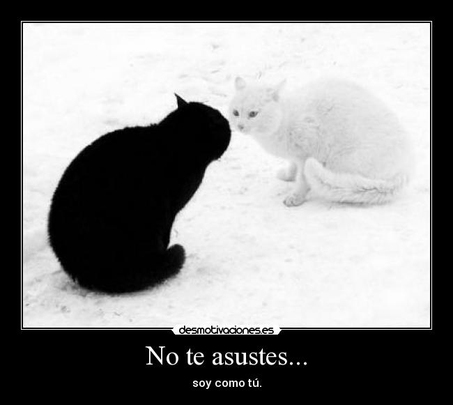 No te asustes... - 