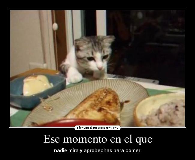 Ese momento en el que -