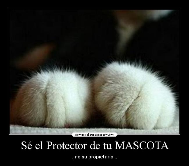 Sé el Protector de tu MASCOTA -