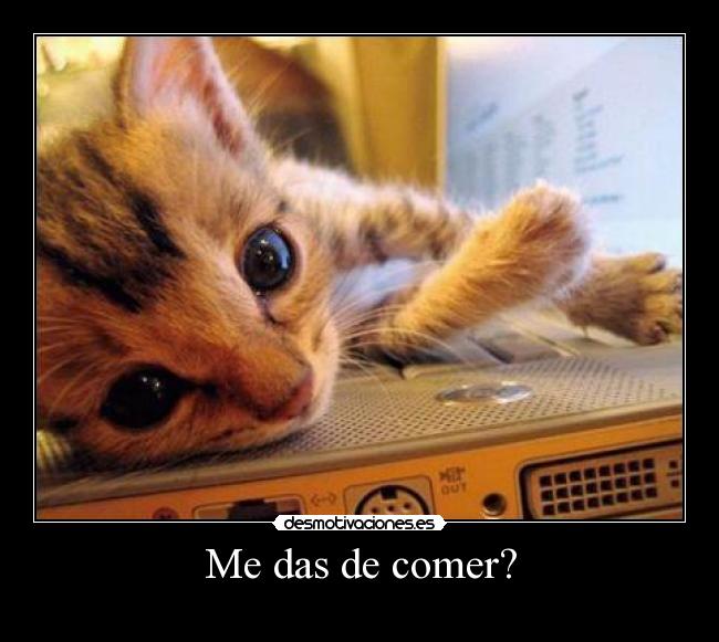 Me das de comer? - 