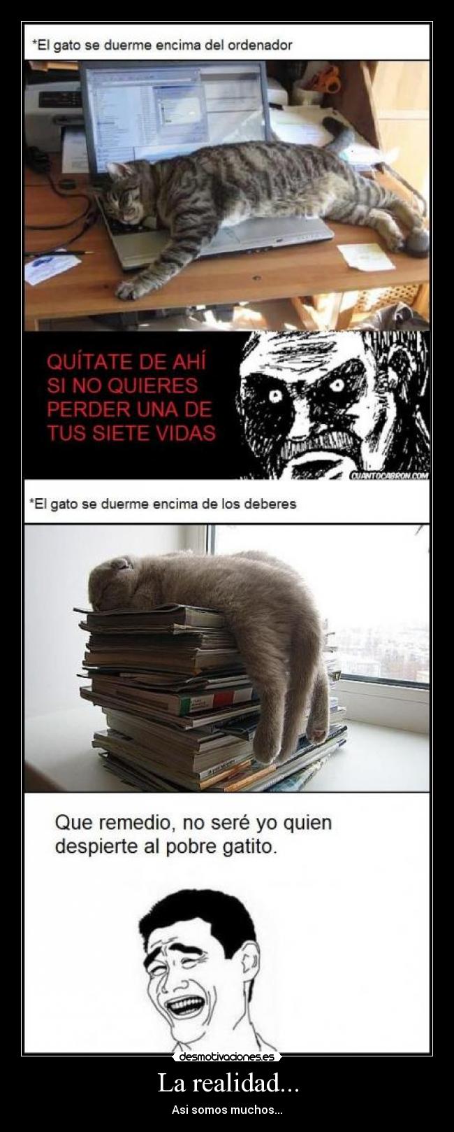 La realidad... - Asi somos muchos...