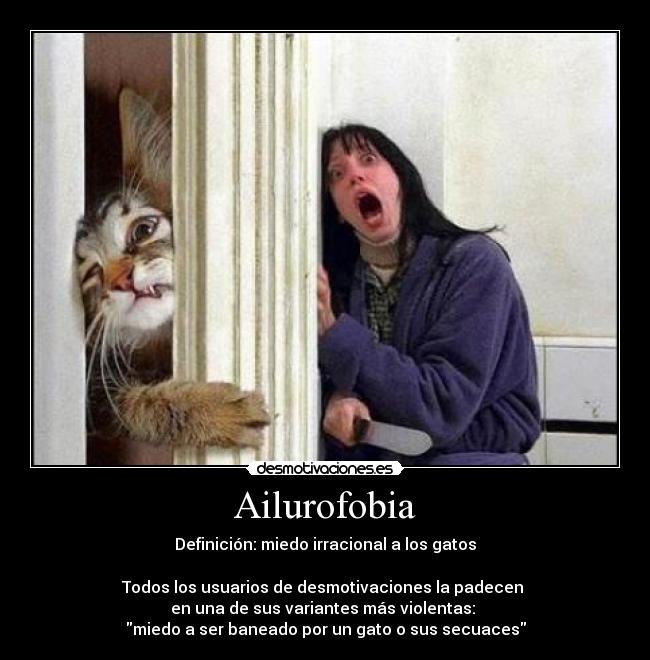 Ailurofobia Desmotivaciones