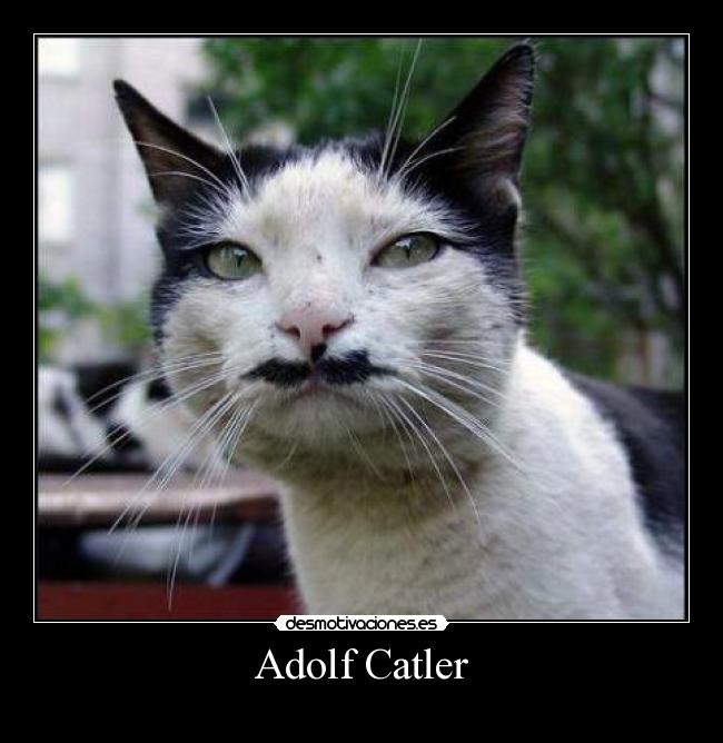 Adolf Catler -