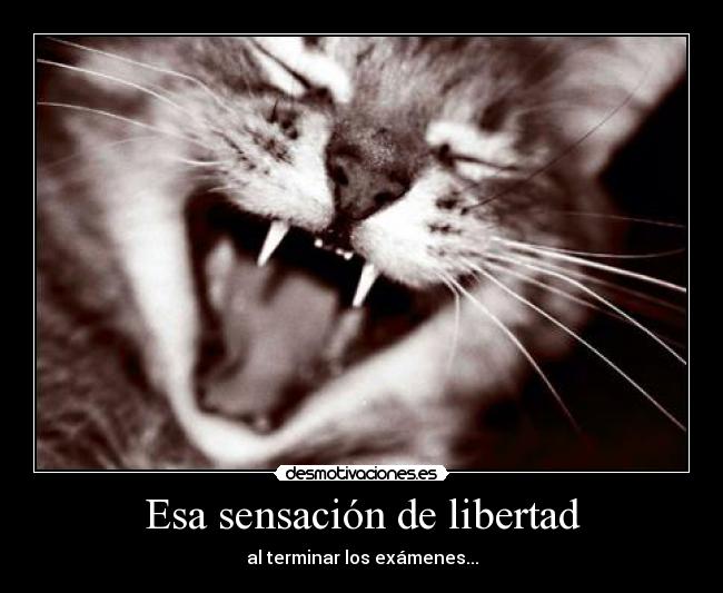 Esa sensación de libertad -
