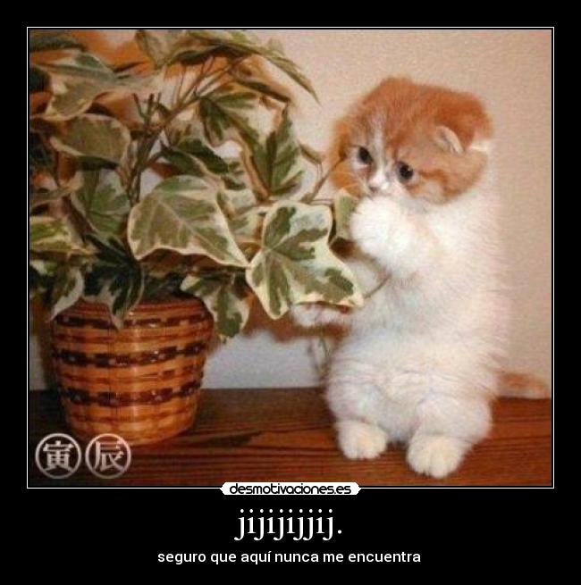 jijijijjij. -