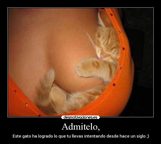 Admitelo, - Este gato ha logrado lo que tu llevas intentando desde hace un siglo ;)