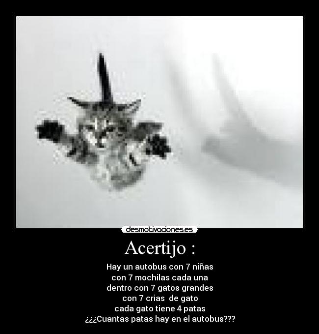 Acertijo : - Hay un autobus con 7 niñas
con 7 mochilas cada una
dentro con 7 gatos grandes
con 7 crias de gato
cada gato tiene 4 patas
¿¿¿Cuantas patas hay en el autobus???
