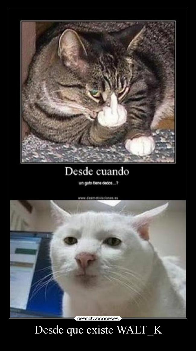 Desde que existe WALT_K - 