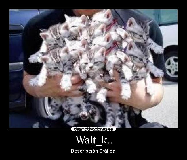 Walt_k.. - 