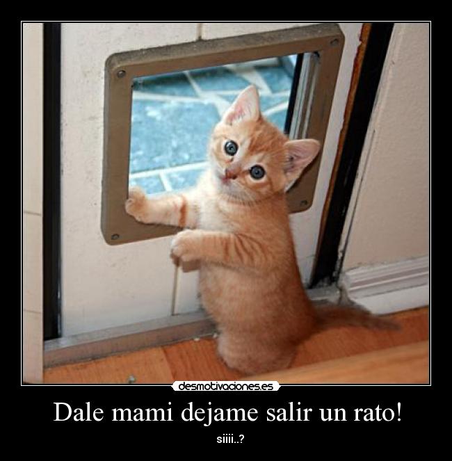 Dale mami dejame salir un rato! - 