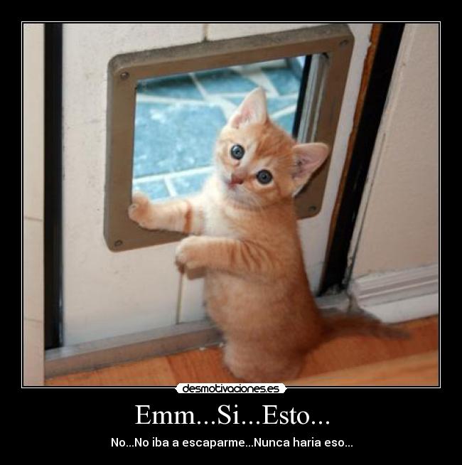 Emm...Si...Esto... -