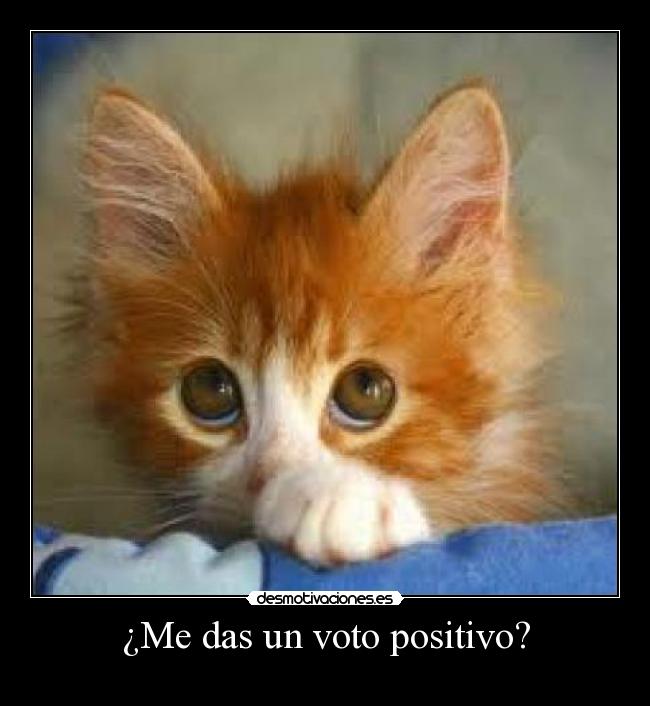 ¿Me das un voto positivo? - 