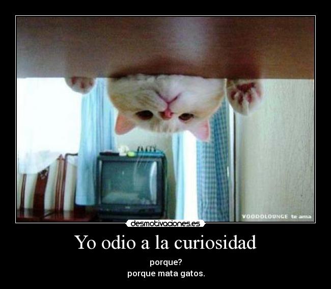 Yo odio a la curiosidad -