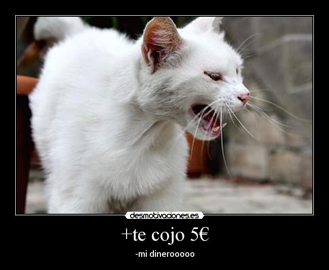 +te cojo 5€ -