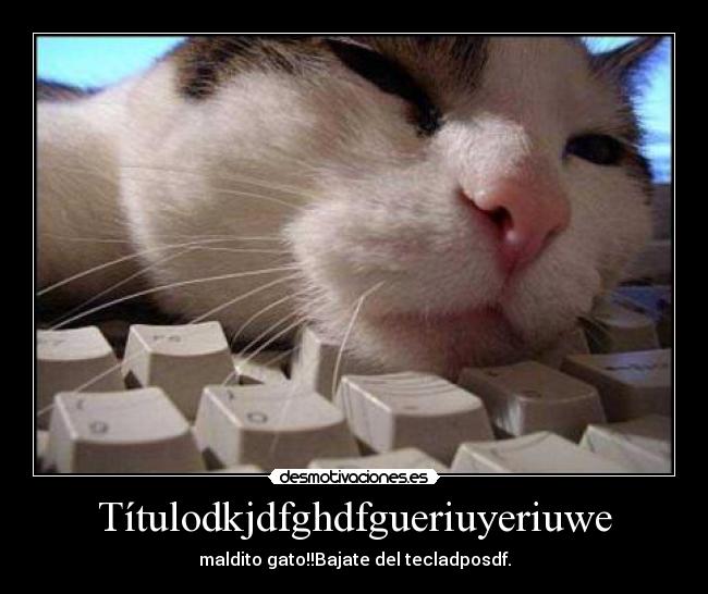 Títulodkjdfghdfgueriuyeriuwe - maldito gato!!Bajate del tecladposdf.