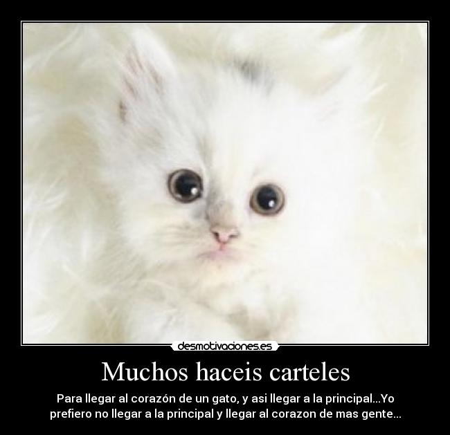 Muchos haceis carteles -