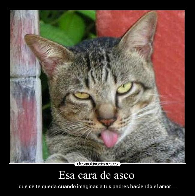 Esa cara de asco  - 