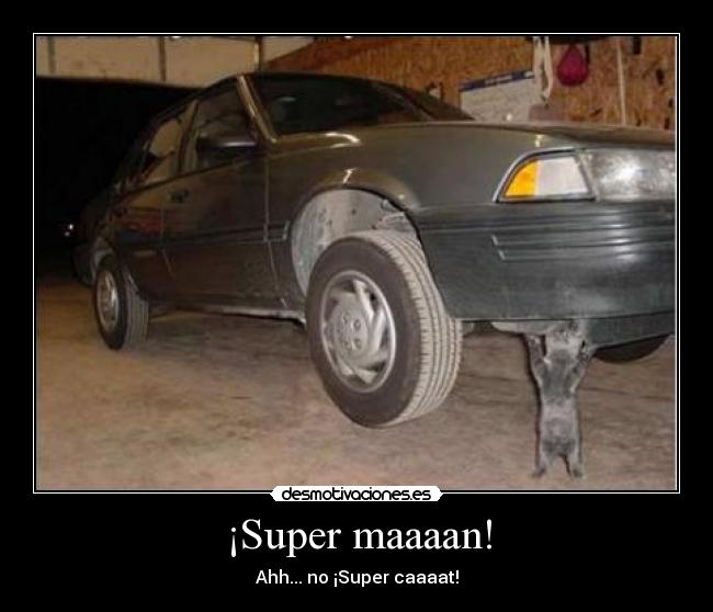 ¡Super maaaan! - Ahh... no ¡Super caaaat!