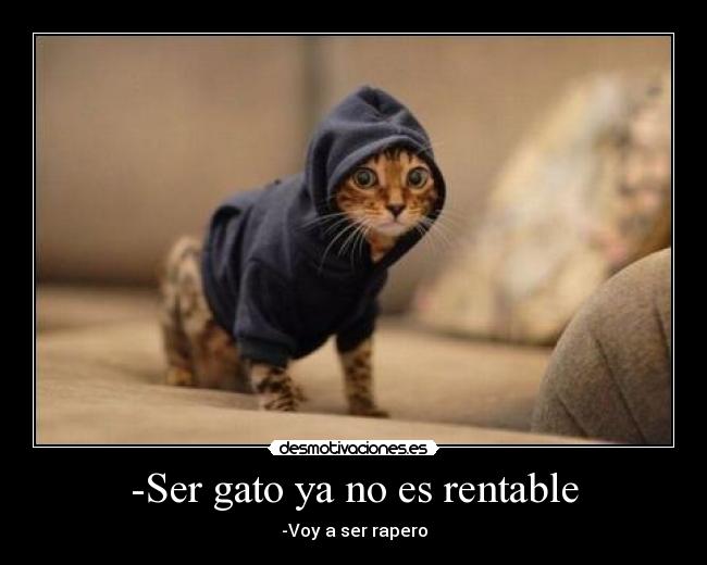 carteles voy ser rapero desmotivaciones