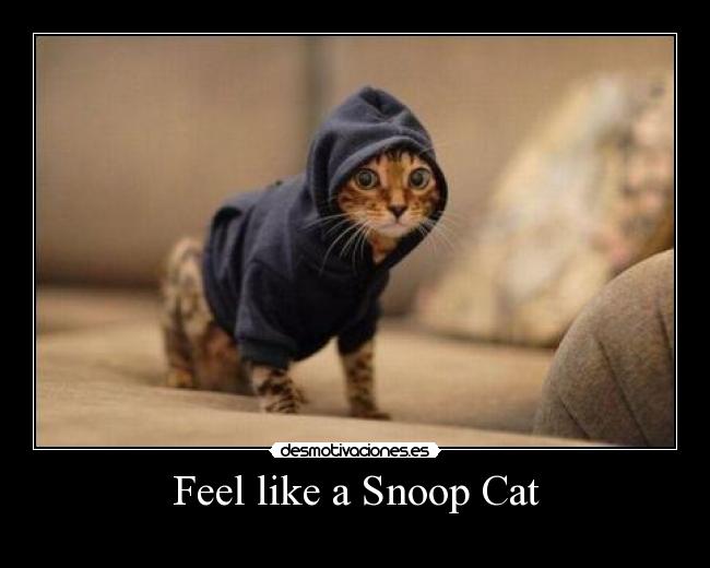 carteles nothing desmotivaciones