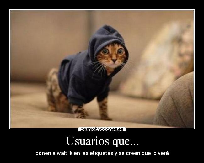 Usuarios que... - 