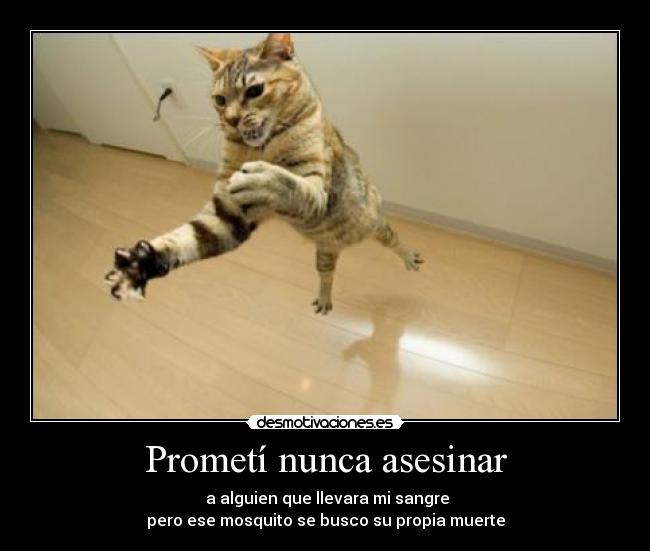 Prometí nunca asesinar - a alguien que llevara mi sangre
pero ese mosquito se busco su propia muerte