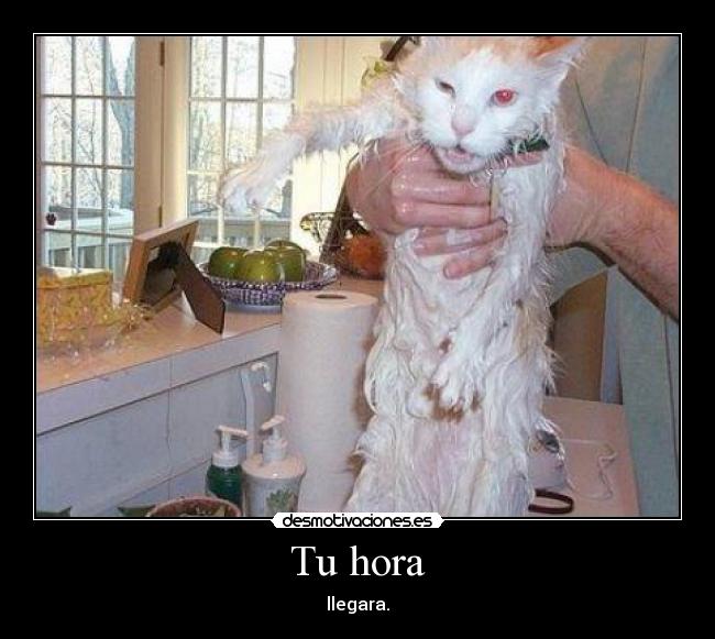 Tu hora - llegara.