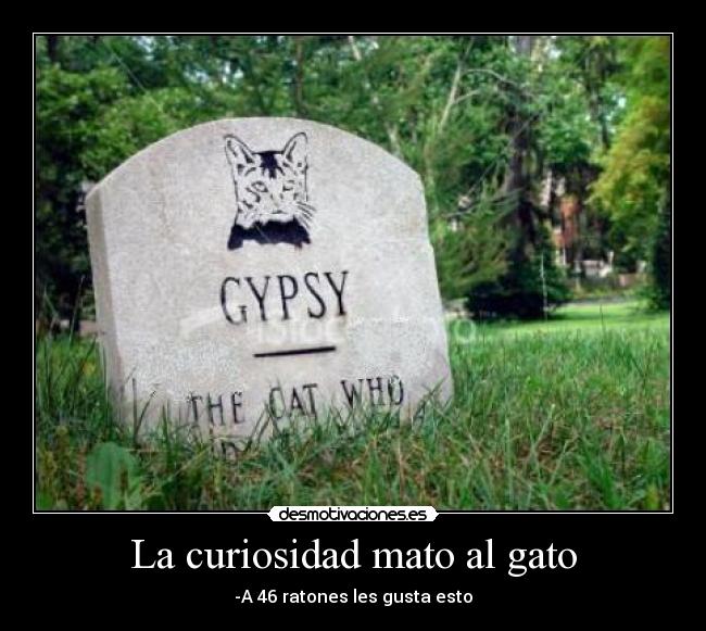 La curiosidad mato al gato - 