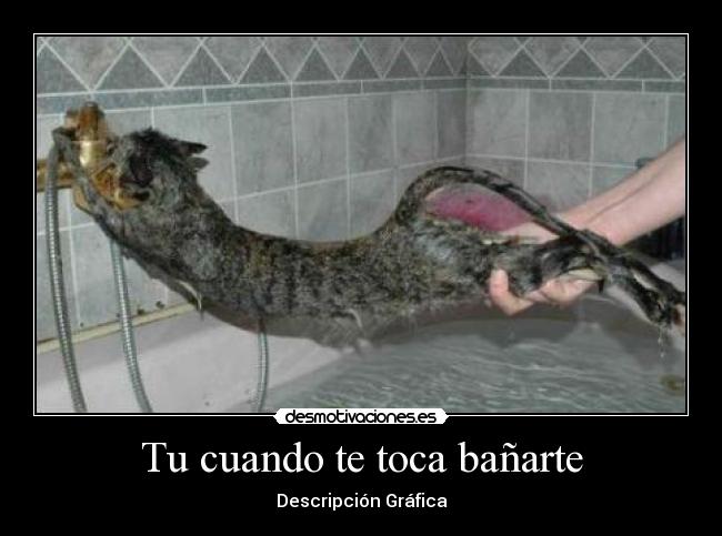 Tu cuando te toca bañarte - Descripción Gráfica