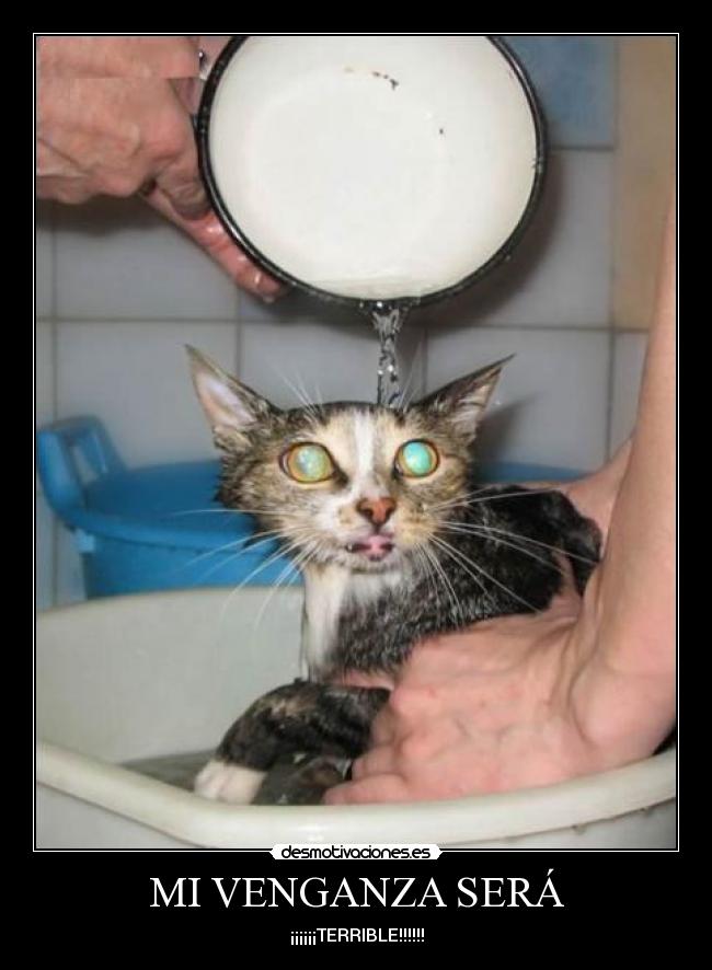 MI VENGANZA SERÁ - ¡¡¡¡¡¡TERRIBLE!!!!!!