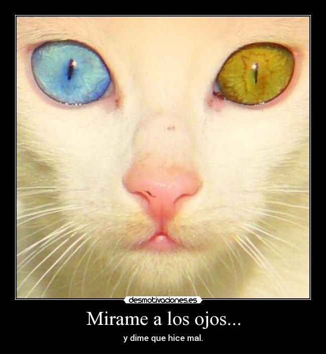 Mirame a los ojos... - 