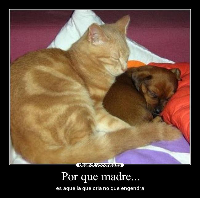 Por que madre... -