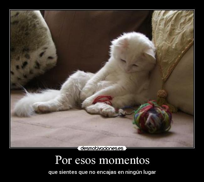 Por esos momentos - 