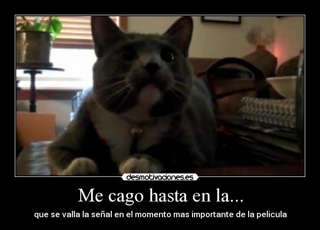 Me cago hasta en la... - 