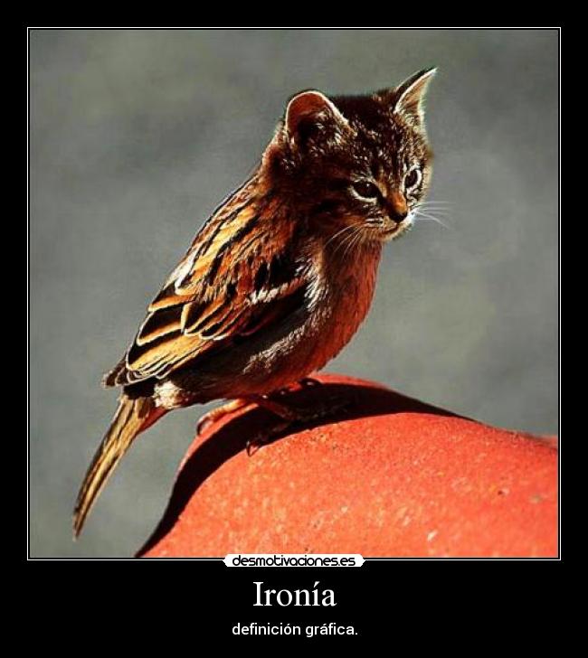 Ironía - definición gráfica.