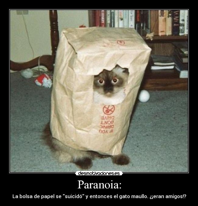 Paranoia: - La bolsa de papel se suicidó y entonces el gato maullo. ¿¡eran amigos!?