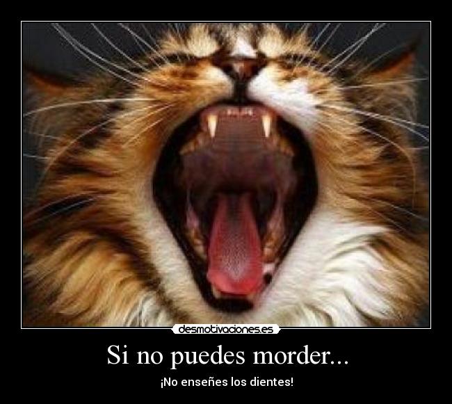 Si no puedes morder... - 