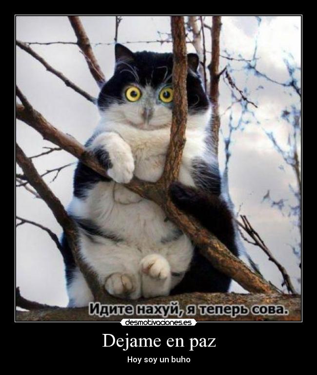 Dejame en paz -