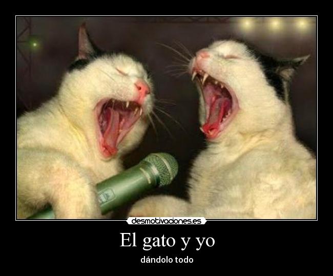 El gato y yo - dándolo todo