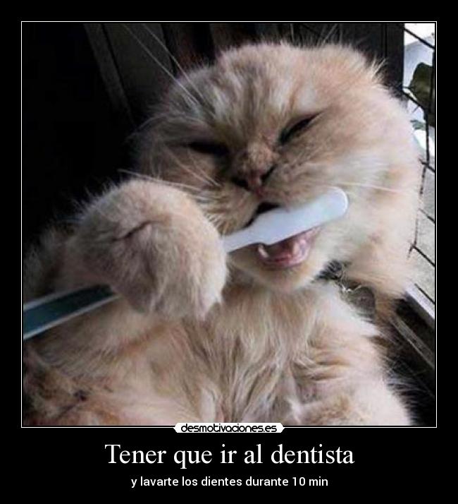 carteles antes dentista lavarte dientes 10min blancos desmotivaciones