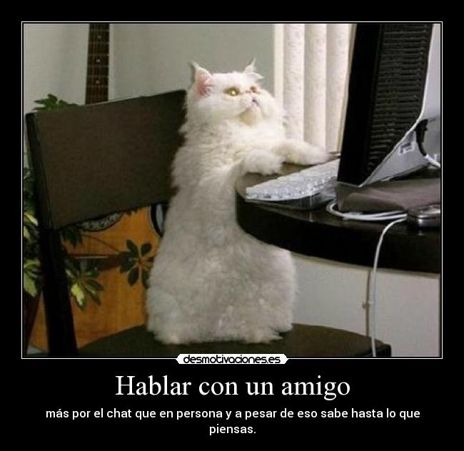 Hablar con un amigo - más por el chat que en persona y a pesar de eso sabe hasta lo que piensas.